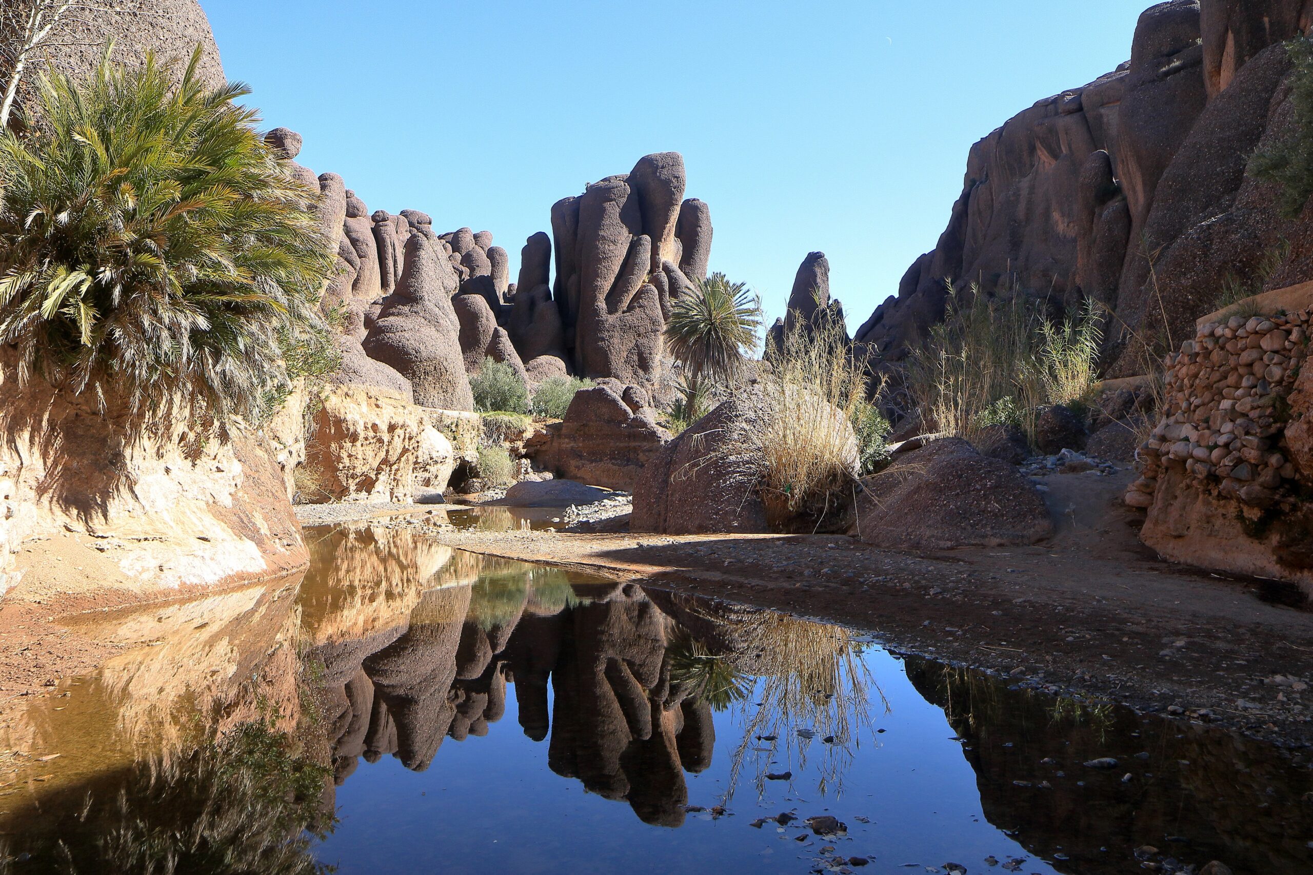 imgi_208_photo.1543264