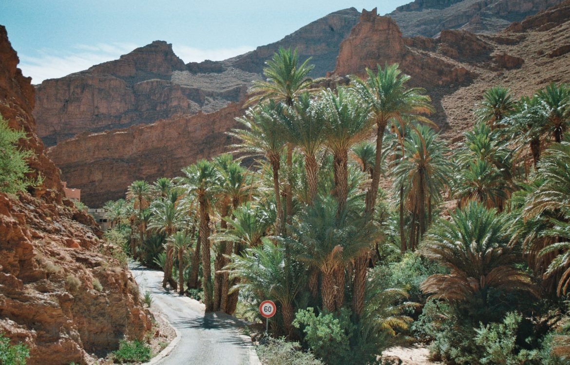 imgi_2_Copie-de-Photo18_16-1170x750