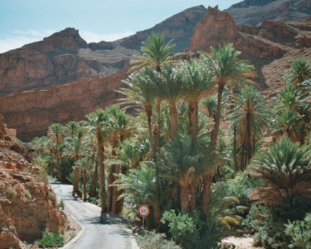 imgi_2_Copie-de-Photo18_16-1170x750