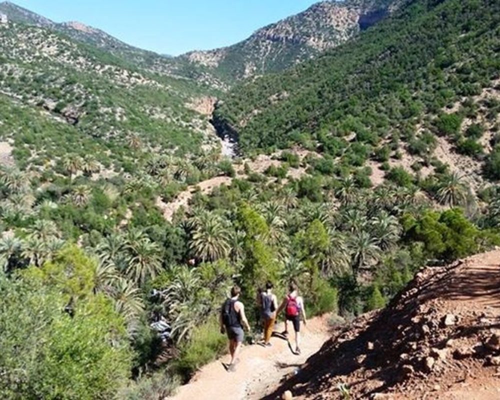 imgi_46_d316c981ccf8156553aec994821df4b7